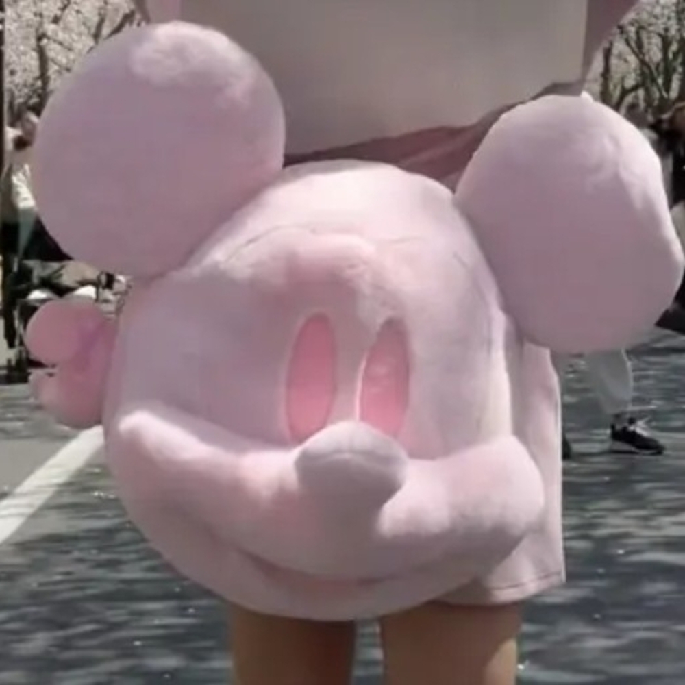 Pink Mickey Mouse Plush Bag